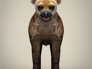 low poly hyena 3D Model