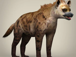 low poly hyena 3D Model