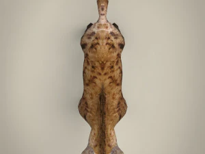 low poly hyena 3D Model