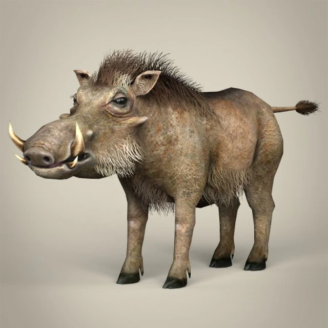 low poly warthog 3D Model .c4d .max .obj .3ds .fbx .stl .blend 