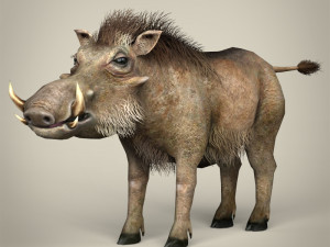 low poly warthog 3D Model
