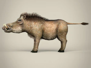 low poly warthog 3D Model