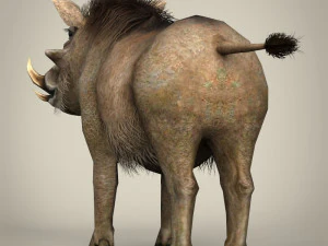 low poly warthog 3D Model