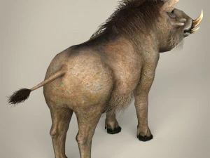 low poly warthog 3D Model