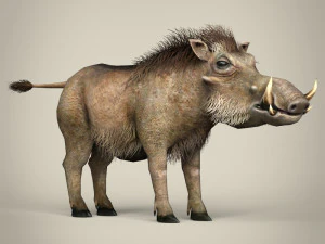 low poly warthog 3D Model