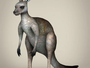 低ポリリアルなカンガルー 3Dモデル