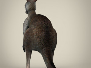 low poly realistic kangaroo 3D Модель