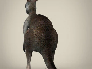 low poly realistic kangaroo 3D Model