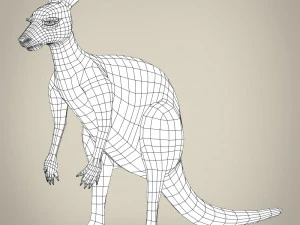low poly realistic kangaroo 3D Model