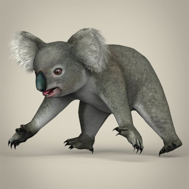 low poly koala Modello 3D .c4d .max .obj .3ds .fbx .stl .blend 