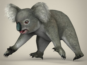 low poly koala 3D Model