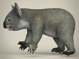 low poly koala Modello 3D
