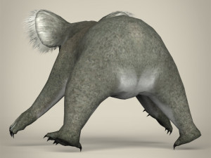 low poly koala Modello 3D