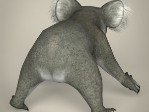 low poly koala Modello 3D