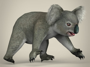 low poly koala Modello 3D