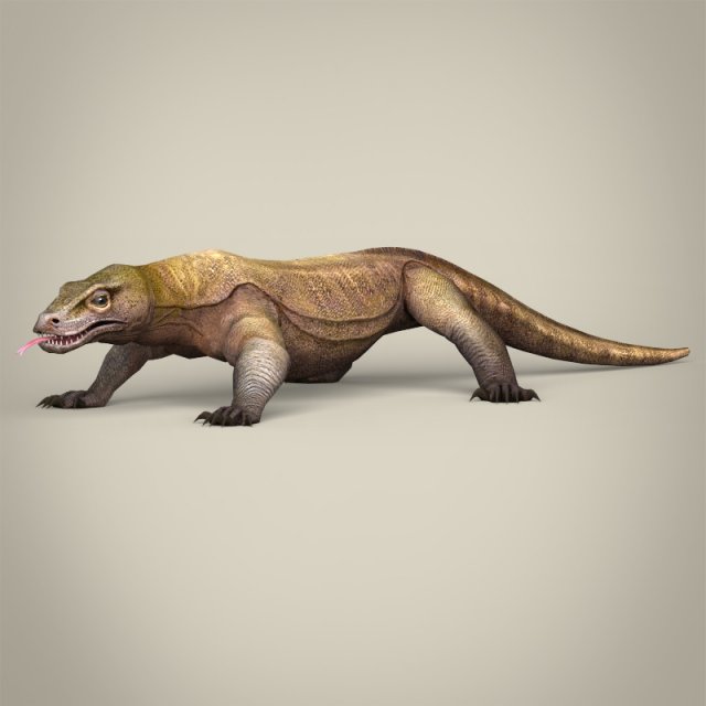 low poly realistic komodo dragon 3D Model .c4d .max .obj .3ds .fbx .stl .blend 