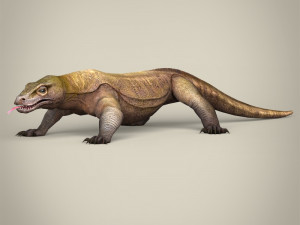 low poly realistic komodo dragon 3D Model