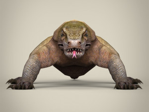 low poly realistic komodo dragon 3D Model