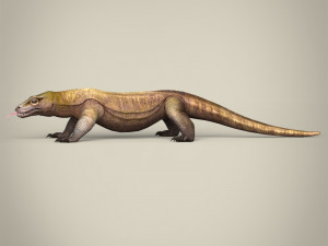 low poly realistic komodo dragon 3D Model