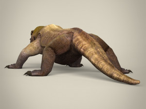 low poly realistic komodo dragon 3D Model