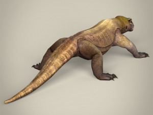 low poly realistic komodo dragon 3D Model