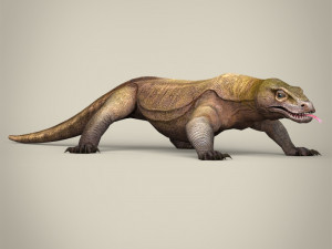 low poly realistic komodo dragon 3D Model
