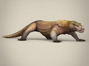 low poly realistic komodo dragon 3D Model