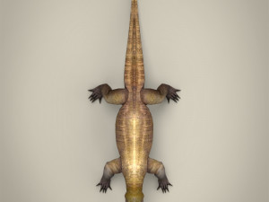 low poly realistic komodo dragon 3D Model