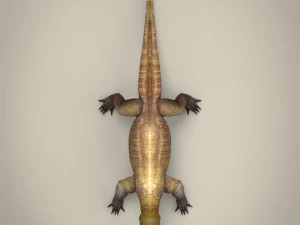 low poly realistic komodo dragon 3D Model