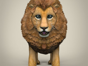 low poly lion Model 3D