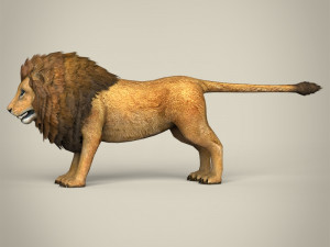 low poly lion Model 3D