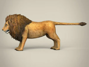 low poly lion 3D Model