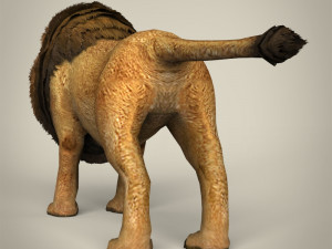 low poly lion Model 3D