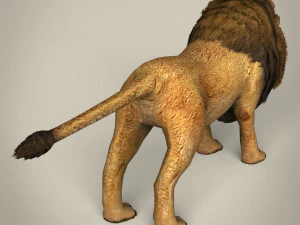 low poly lion 3D Model