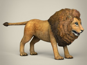 low poly lion Model 3D
