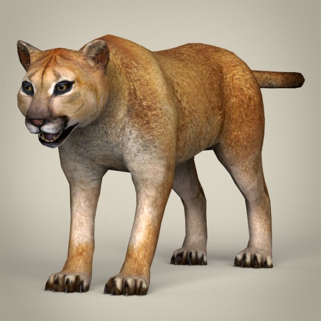 low poly mountain lion 3D मॉडल .c4d .max .obj .3ds .fbx .stl .blend 