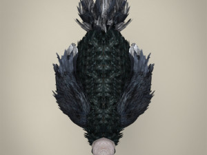 low poly ostrich Modelo 3D