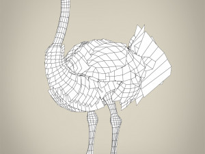 low poly ostrich Modelo 3D