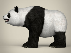 low poly giant panda Model 3D