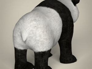 low poly giant panda Model 3D