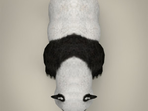 low poly giant panda Model 3D