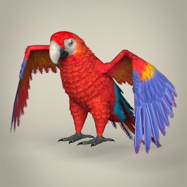 low poly parrot Modello 3D .c4d .max .obj .3ds .fbx .stl .blend 