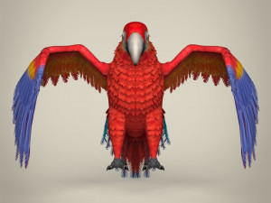 low poly parrot Modello 3D