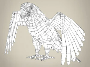 папуга низького поля 3D Модель