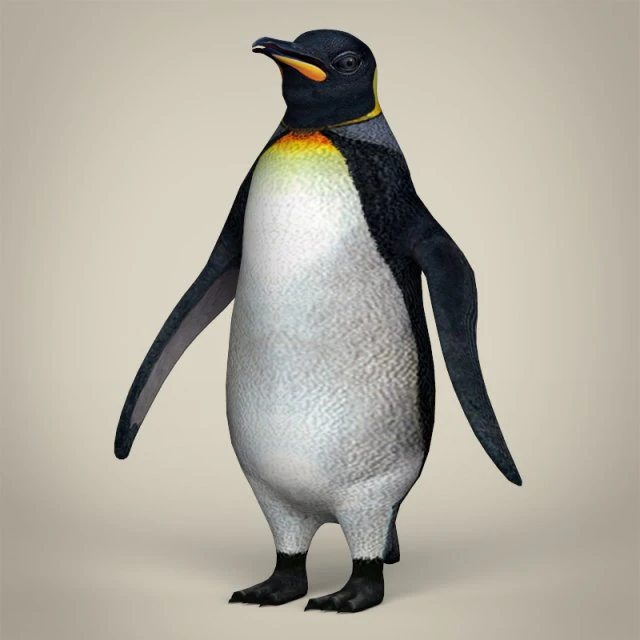 low poly penguin 3D Model .c4d .max .obj .3ds .fbx .stl .blend 