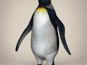 low poly penguin 3D Model