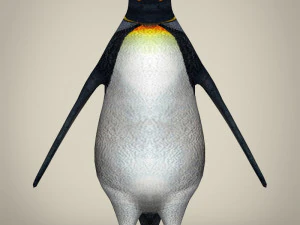 low poly penguin 3D Model