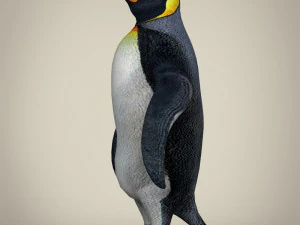 low poly penguin 3D Model