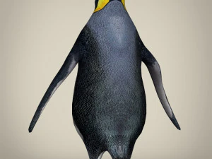 low poly penguin 3D Model