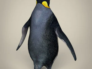 low poly penguin 3D Model